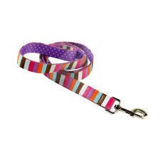 Yellow Dog Design Uptown Leash Multi-Stripe On Purple Polka RRP £17.99 CLEARANCE XL £9.99